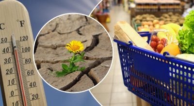 Спека, ціни на продукти Спека, ціни на продукти