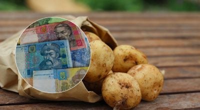 Приємний сюрприз на ринку: 'другий хліб' українців подешевшав вже на 10% Приємний сюрприз на ринку: 'другий хліб' українців подешевшав вже на 10%