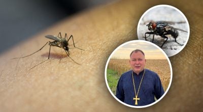 'Воно теж хотіло жити': священник чесно відповів, чи гріх вбивати мух і комарів 'Воно теж хотіло жити': священник чесно відповів, чи гріх вбивати мух і комарів