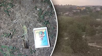 Чим небезпечна сарана, яка атакувала Україну Чим небезпечна сарана, яка атакувала Україну