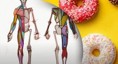Почему хочется сладкого? Почему хочется сладкого?
