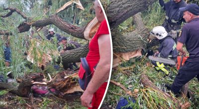 Дерево упало на подростков в Одесской области Дерево упало на подростков в Одесской области