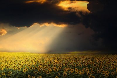 Погода в Україні - коли чекати спеки Погода в Україні - коли чекати спеки