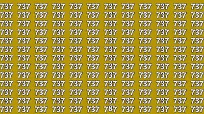 Де число 787: тільки найуважнішим вдасться її помітити за 7 секунд