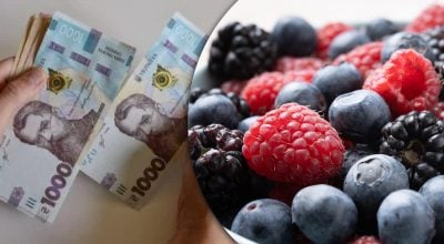 В Україні дешевшає одна з найдорожчих ягід: ціни впали на 33% за тиждень В Україні дешевшає одна з найдорожчих ягід: ціни впали на 33% за тиждень