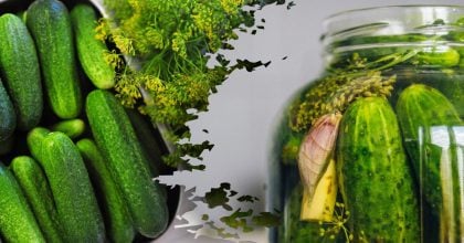 Вкусные и хрустящие огурчики: хозяйка поделилась чудесным рецептом малосольных огурцов