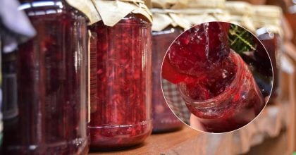 Просто, быстро и вкусно: рецепт варенья из слив, которое будет напоминать о лете