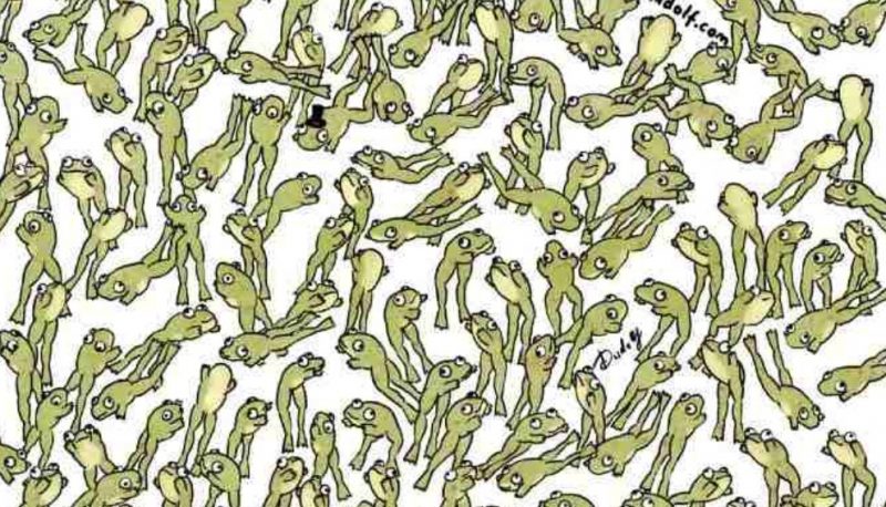 Незвичайний ребус: знайдіть на картинці особливу жабу за 21 секунду