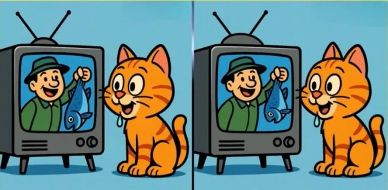 Где три различия между котиками, которые смотрят на рыбку: загадка на 31 секунду