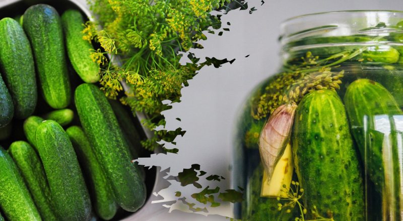 Смачні та хрумкі огірочки: господиня поділилася чудовим рецептом малосольних огірків