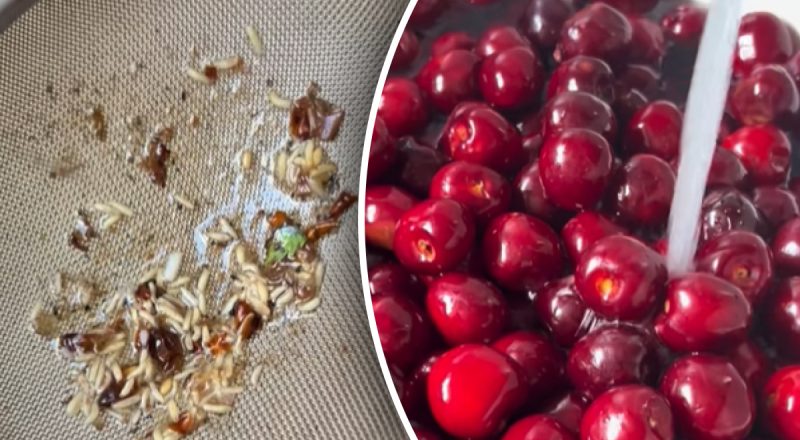 Як прибрати черв'яків з черешні: перевірений метод