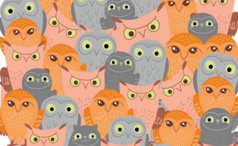 Супериллюзия: найдите спрятавшегося кота среди множества сов за 5 секунд