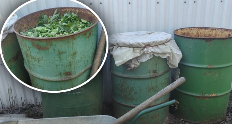 Як за рік зробити пухкий і поживний компост: ефективний метод від городниці