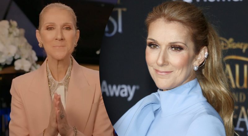 Ночная русалка Селин: тяжелобольная Дион сияет на новых фото