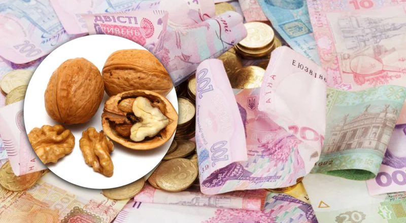 Українцям почали виписувати штрафи за горіхи: через яку причину тепер покарають