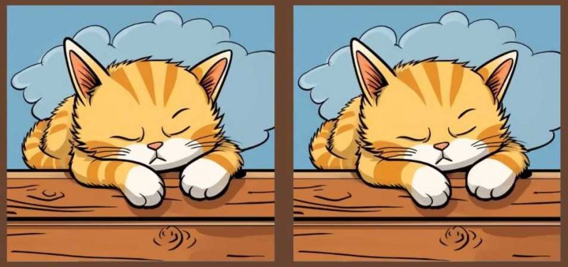 Суперголоволомка: знайдіть 3 відмінності на картинках зі сплячим котом за 23 с