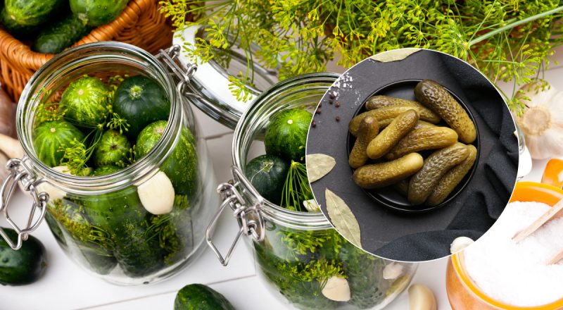 Додавали секретний інгредієнт: як наші пращури солили огірки 1000 років тому
