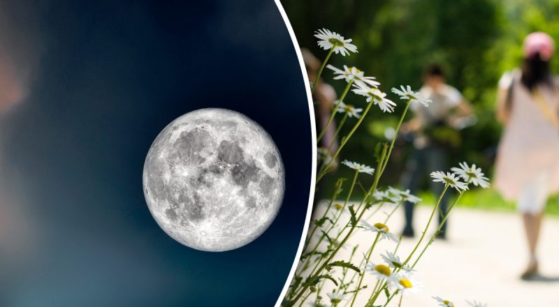 Лунный календарь на август 2025: благоприятные и неблагоприятные дни месяца