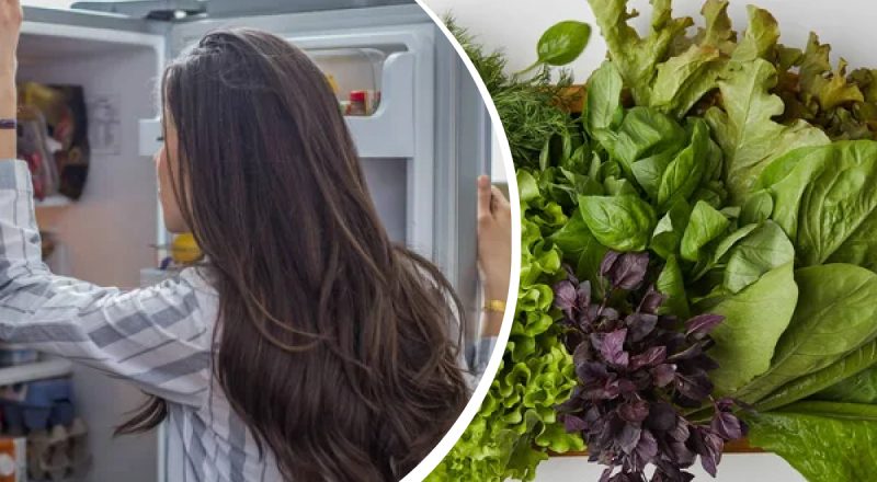 Как сохранить салат в холодильнике свежим на 2 недели: советы эксперта
