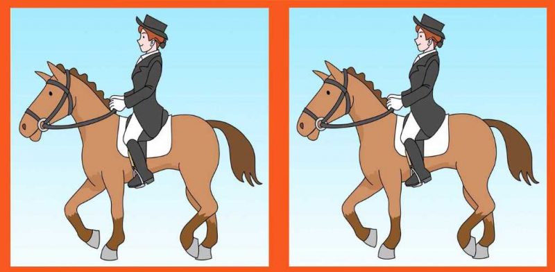 Чим відрізняються 2 дівчини на коні: тільки геній знайде відповідь за 21 секунду