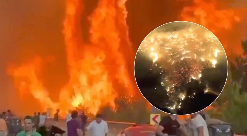 Из-за аномальной жары Турцию охватили пожары: появились жуткие кадры