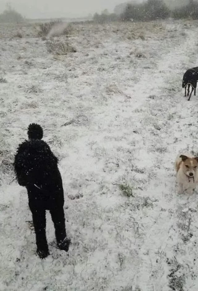 загадка загадка
