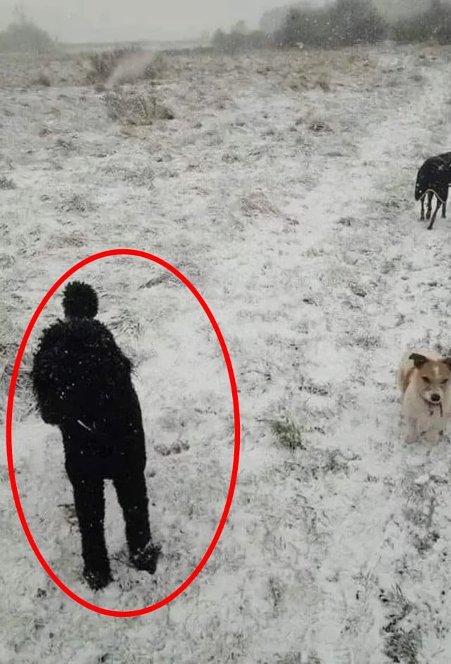 Разгадка Разгадка