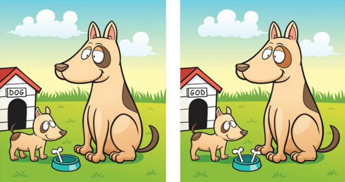 Загадка Загадка