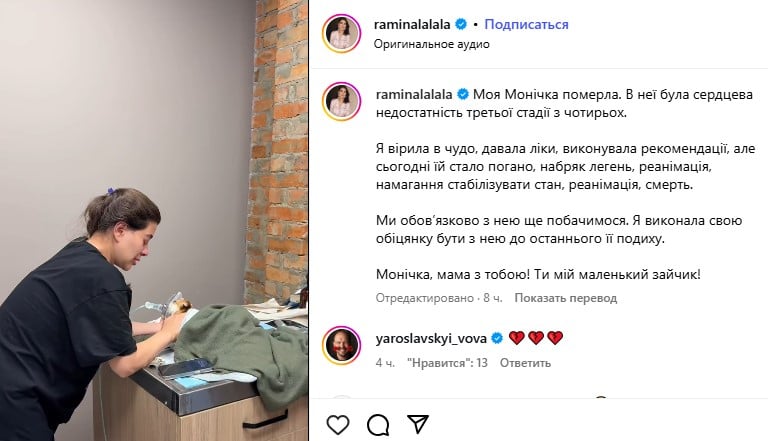 Собака Рамины Эсхакзай не выжила Собака Рамины Эсхакзай не выжила