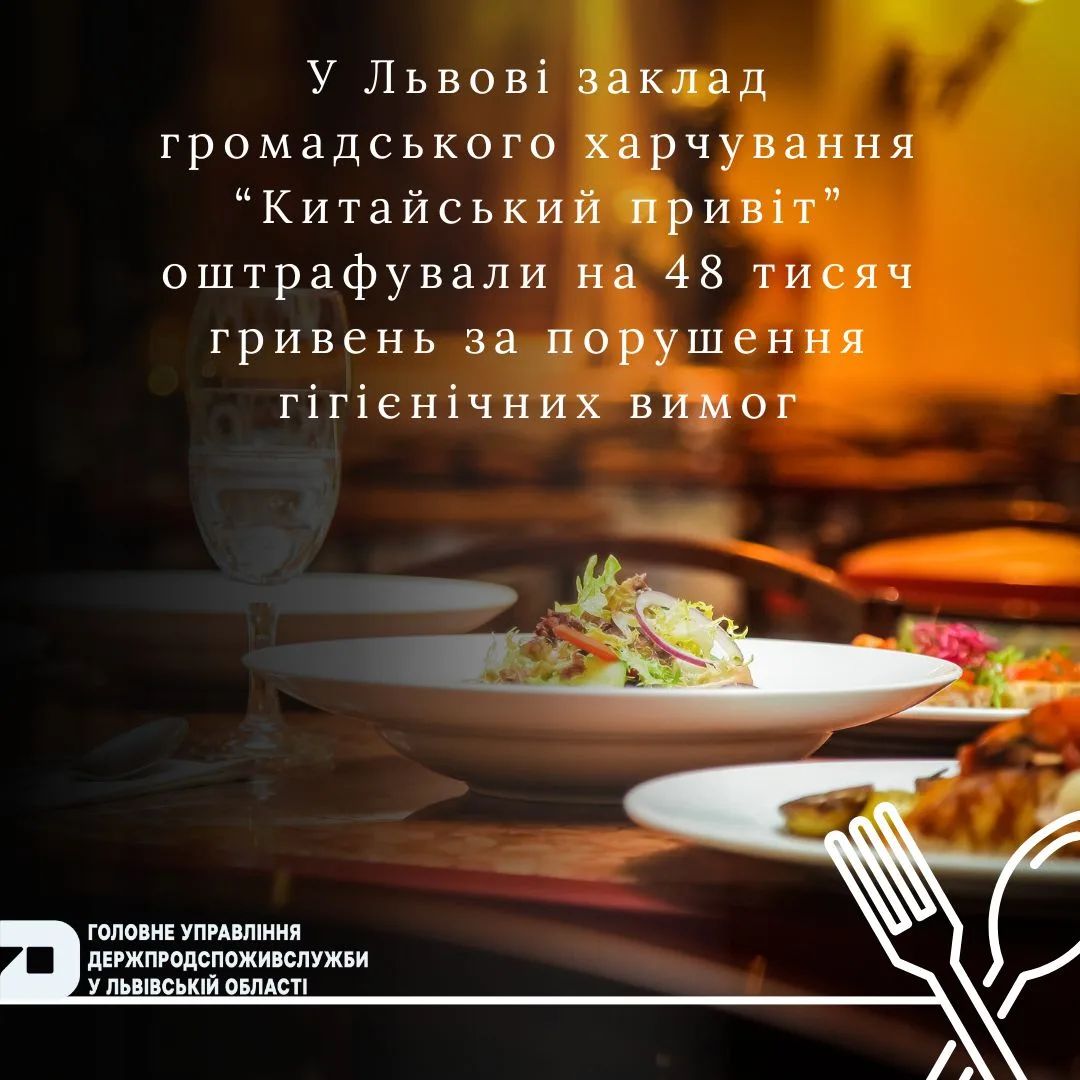 Кацурина оштрафовали Кацурина оштрафовали