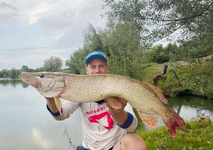Вінничанин зловив трофейну щуку