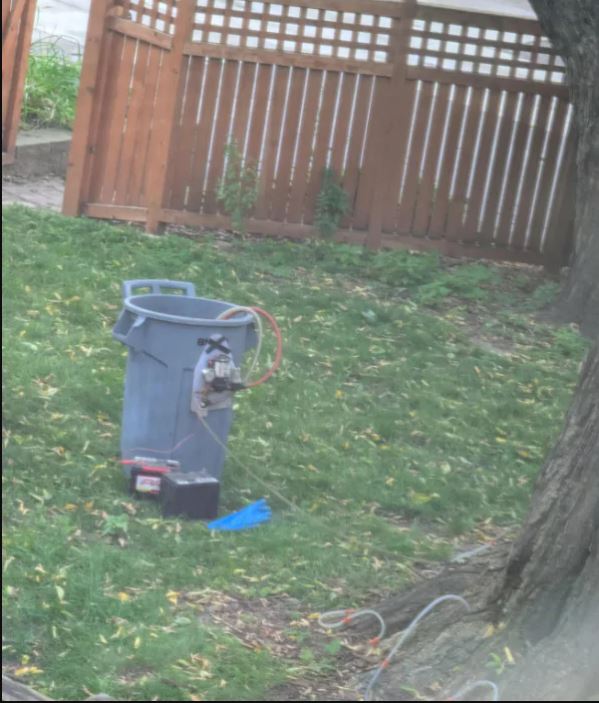 Дивна знахідка біля дерева привела сусіда в подив: який вона приховувала секрет