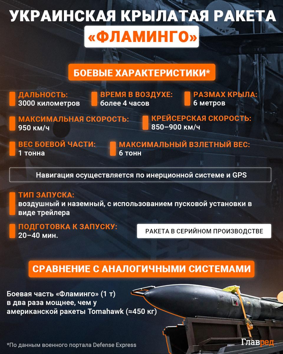 Ракета "Фламинго" Ракета "Фламинго"