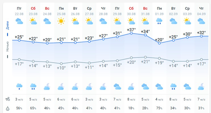 погода 23 августа 