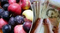 Сезонний фрукт в Україні б'є рекорди - ціни летять вниз п'ятий тиждень поспіль
