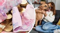 Українцям почали виписувати штрафи за утримання тварин вдома: що відомо