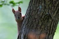 До України увірветься похолодання: де та коли температура впаде до +20 градусів