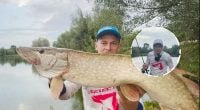 Рибалка виловив щуку-монстра в українському озері: фото і відео трофейного улову