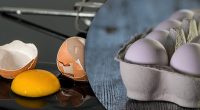 Загадкова біла нитка біля жовтка: чи можна їсти таке яйце