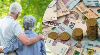 В Україні зросте мінімальна пенсія: у ВР розказали, яких надбавок чекати