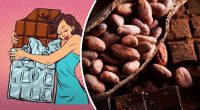 Как рождался шоколад: от горького напитка до сладкого соблазна