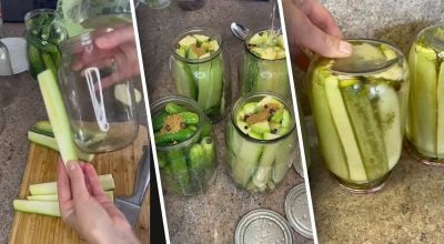 Кабачки Кабачки