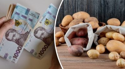 Врожай картоплі впав на 25-30%: аграрій розповів, чи злетять до небес ціни восени Врожай картоплі впав на 25-30%: аграрій розповів, чи злетять до небес ціни восени