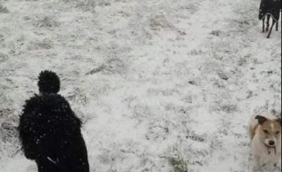 Головне Головне