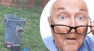 Дивна знахідка біля дерева привела сусіда в подив: який вона приховувала секрет Дивна знахідка біля дерева привела сусіда в подив: який вона приховувала секрет