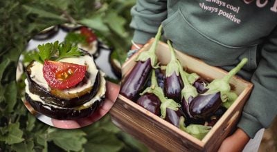 баклажаны, рецепт закуски баклажаны, рецепт закуски