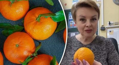 Мандарины, Светлана Чернышева Мандарины, Светлана Чернышева