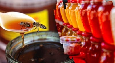 В Україні почали масово підробляти мед - на що звернути увагу перед покупкою В Україні почали масово підробляти мед - на що звернути увагу перед покупкою