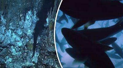 Самая глубокая точка на Земле Самая глубокая точка на Земле