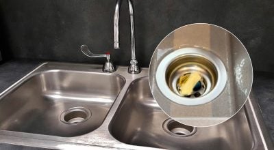 раковина раковина